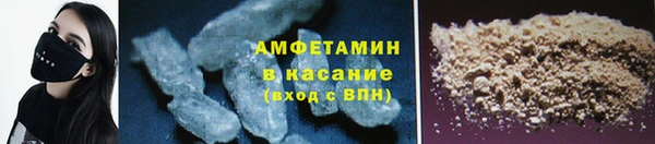 прущие грибы Михайлов