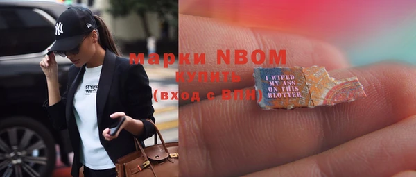 прущие грибы Михайлов