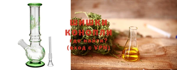 прущие грибы Михайлов