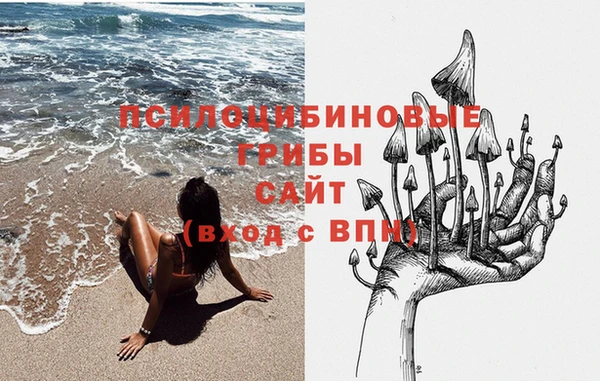 прущие грибы Михайлов