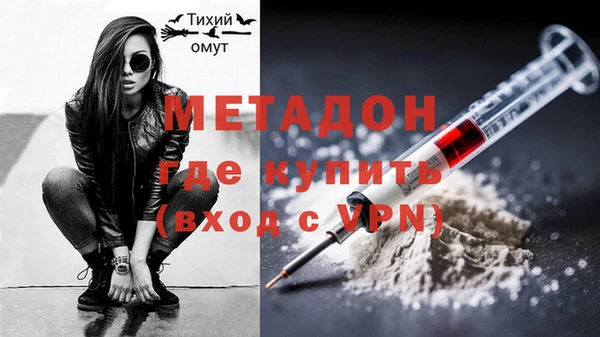 прущие грибы Михайлов