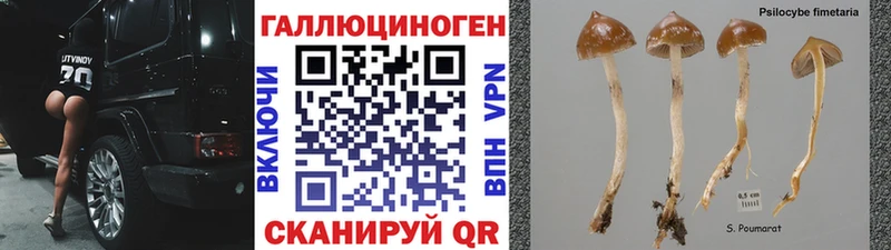 Псилоцибиновые грибы ЛСД  наркотики  Безенчук 